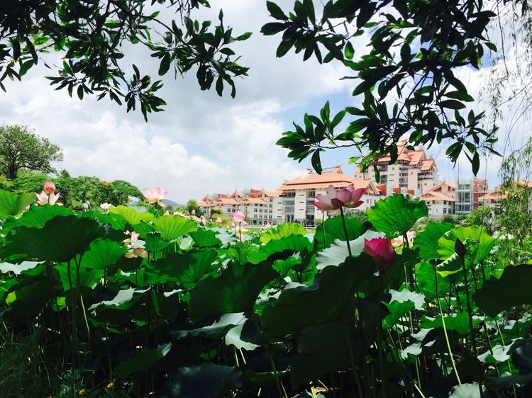 1511594139499383.jpg 7.jpg