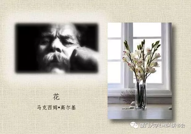 1511594776948248.png 11.png