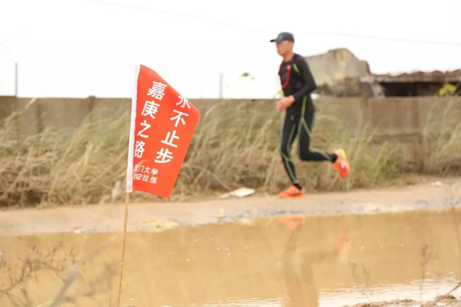 1511536056128527.jpg 2.jpg