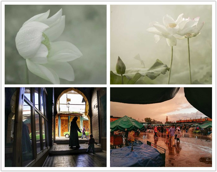 1511624740121211.jpg 4.jpg