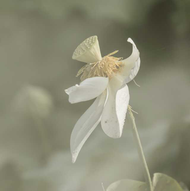 1511624681123156.png 9.png