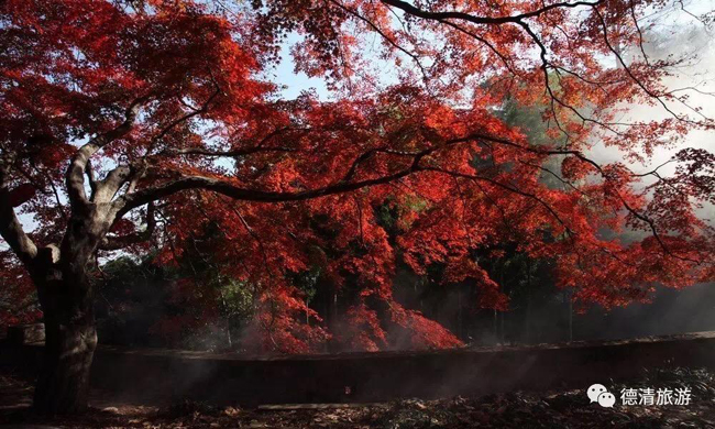 1511625600701848.jpg 22.jpg