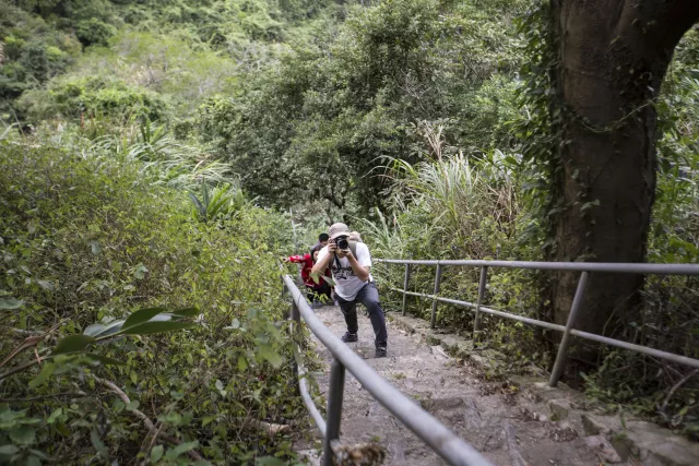 1511632515130468.png 5.png