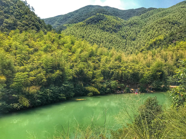 1511625648448003.jpg 17.jpg