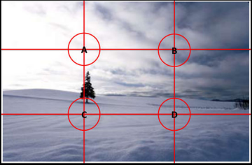 1511624690865541.png 8.png