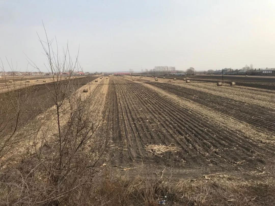 1544680680133821.jpg 1544680680133821.jpg