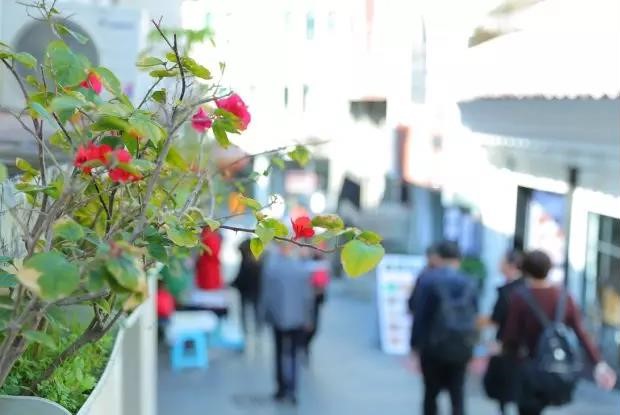 1548316944116308.jpg 1.jpg