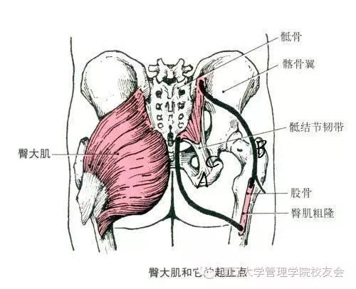 1511507833101163.jpg 05.jpg