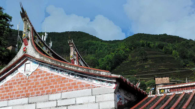 1511506542119116.jpg 15.jpg