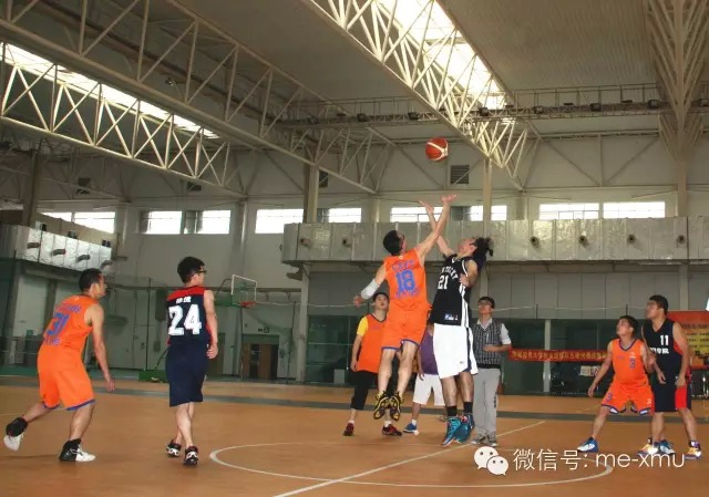 1511486158876729.jpg 10.jpg