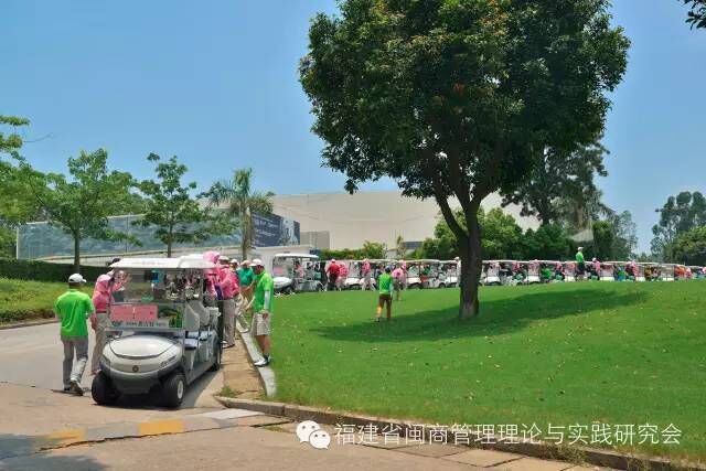 1511446196374290.jpg 10.jpg