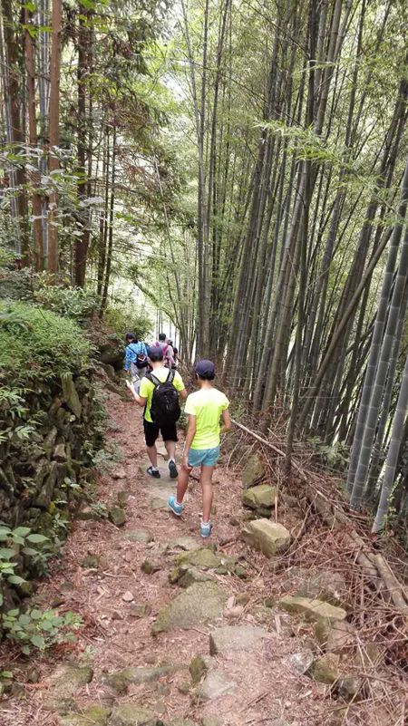 1511506469248723.jpg 06.jpg