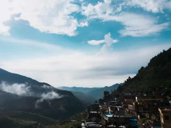 1511506516148932.jpg 11.jpg