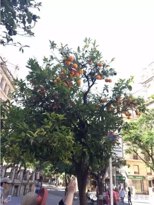 1511505887120871.png 19.png