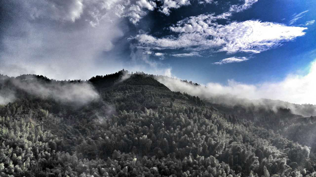 1511506435153537.jpg 01.jpg