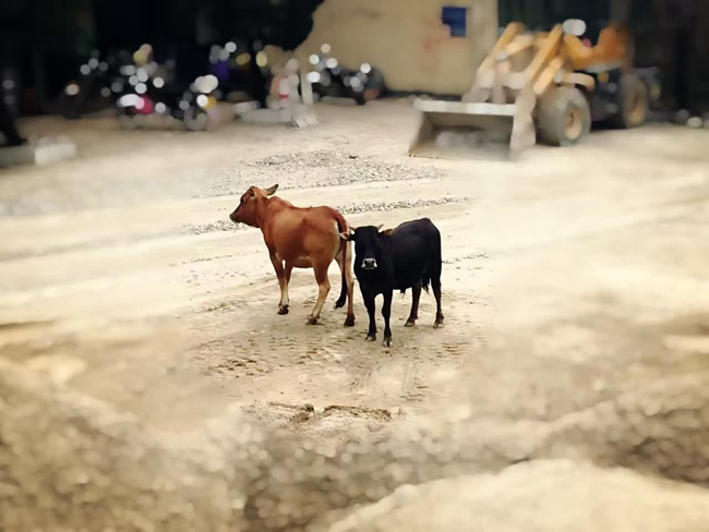 1511506458654212.jpg 04.jpg