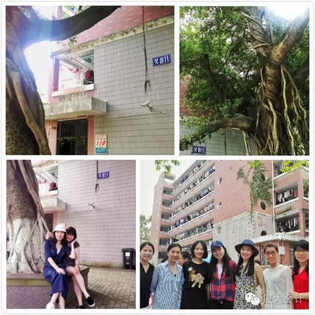 1511495882596721.jpg 21.jpg