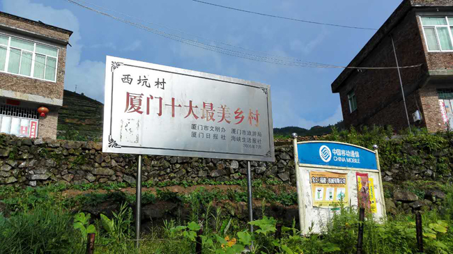 1511506531119598.jpg 12.jpg