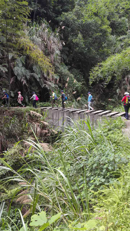 1511506465910165.jpg 05.jpg