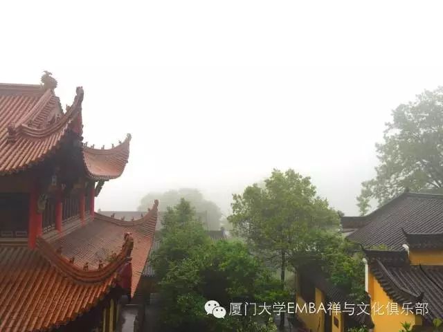 1511491500798971.jpg 02.jpg