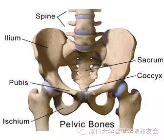 1511507844531872.jpg 04.jpg