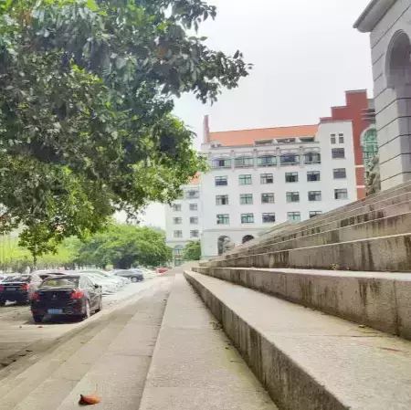 1511494990850264.jpg 02.jpg