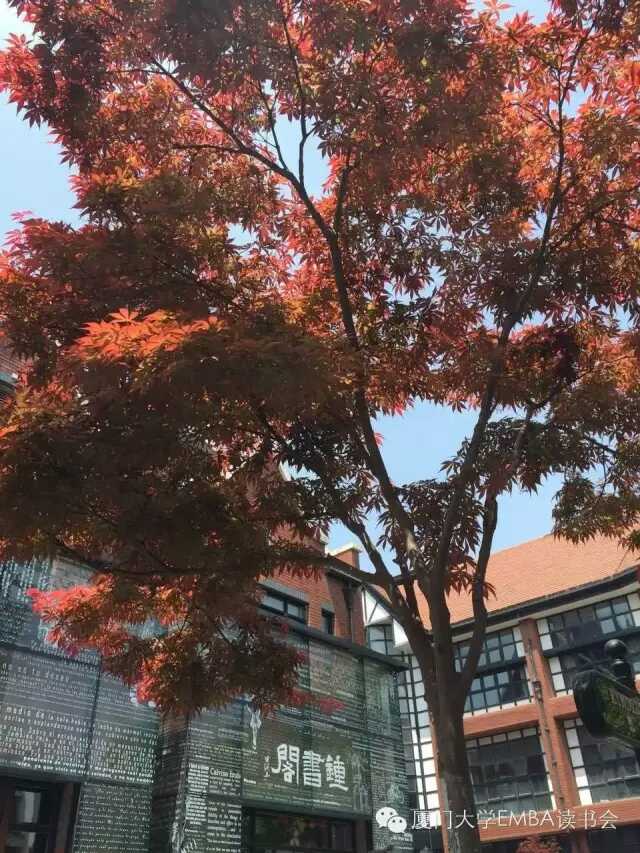 1511490454122012.jpg 01.jpg