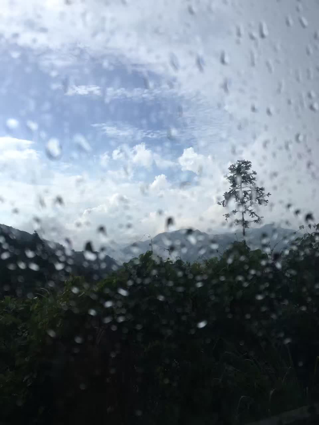 1511506507802112.jpg 09.jpg