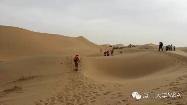 1511442365808524.jpg 6.jpg