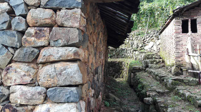 1511506539193643.jpg 14.jpg