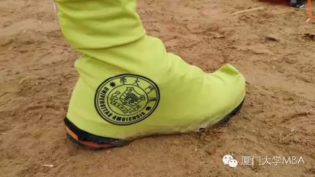 1511492887867176.jpg 08.jpg