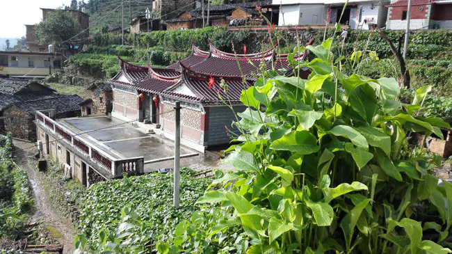 1511506557119107.jpg 17.jpg