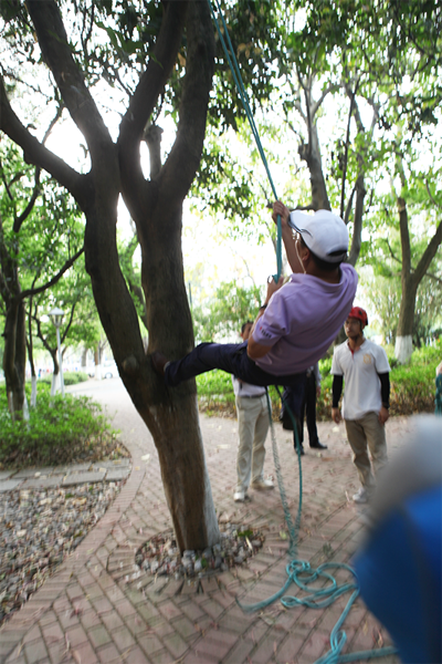 1511233416416805.png 04.png