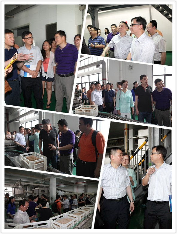 1511400951300706.jpg 03.jpg