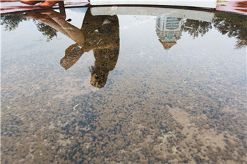 1511400548171223.jpg 06.jpg