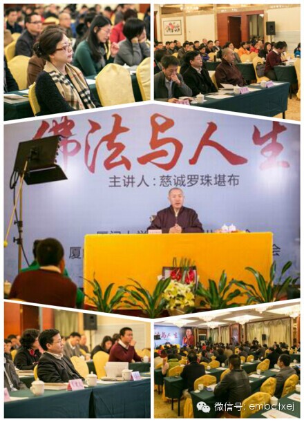 1511312654259567.jpg 04.jpg