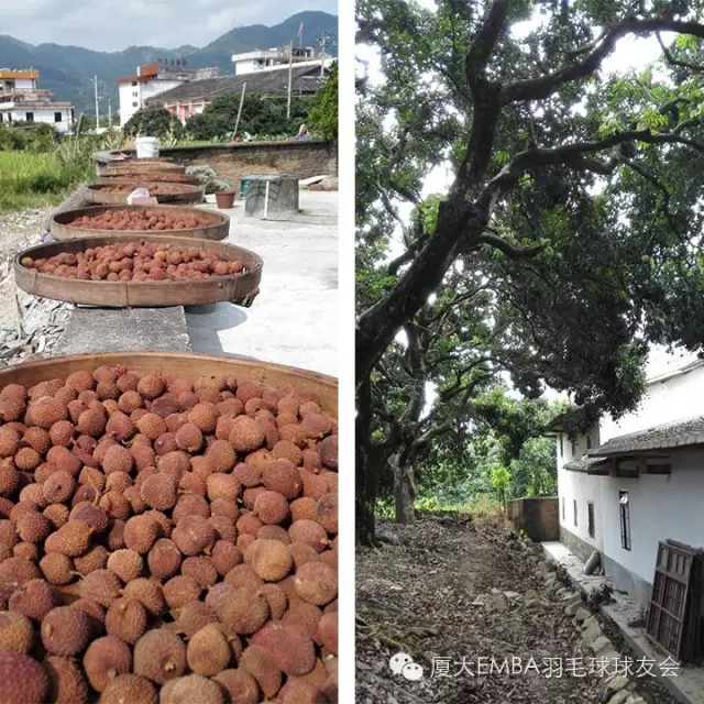 1513135014181132.png blob.png