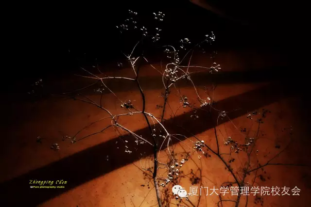 1513735591904183.png blob.png